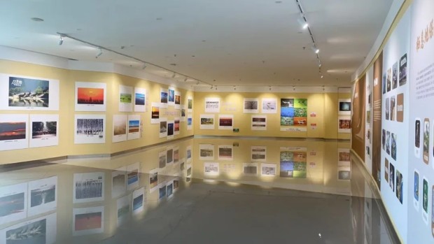 展讯丨“神鹿回丰四十载 大美湿地绘华章”麋鹿主题文化艺术作品展即将启幕