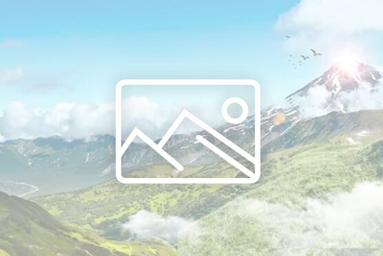 活动预告|网络文学创作分享会